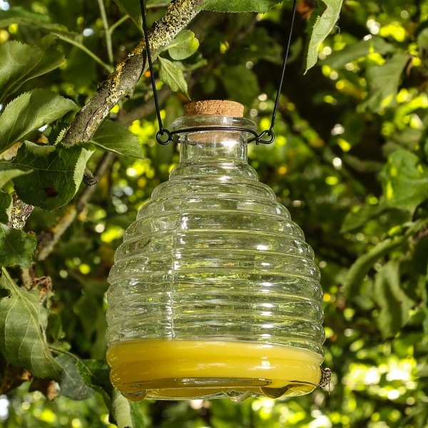 Wespenfänger HONIGTOPF - Wespenfalle - Glas - geriffelt - D: 13cm - H: 17cm - Outdoor